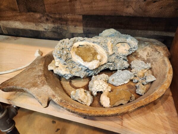 A plate of food on top of a wooden table.