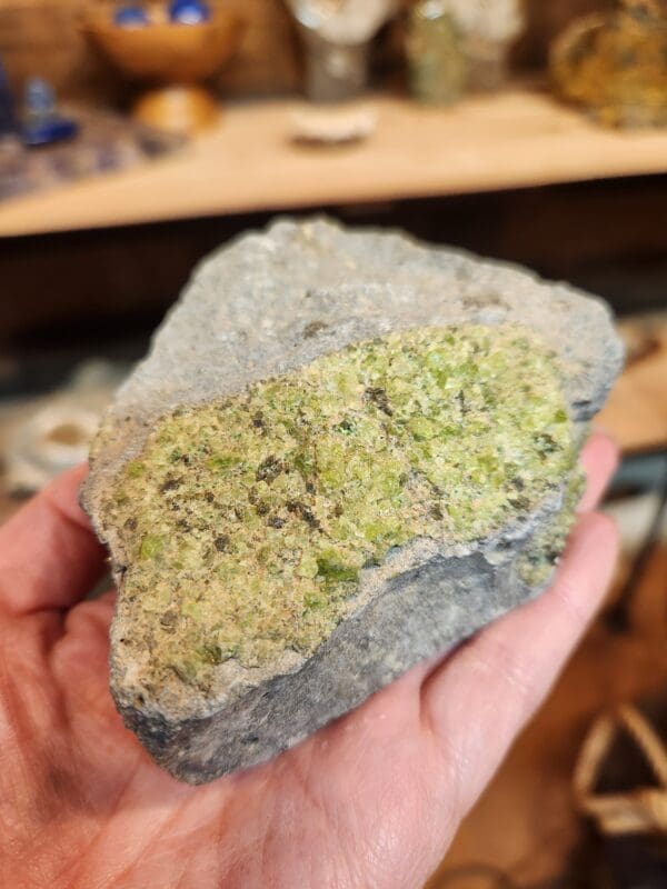 A person holding up a piece of rock with moss on it.