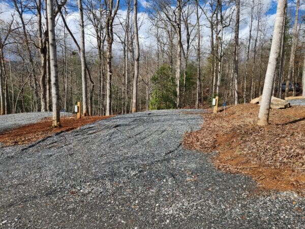 A road with trees and dirt on the side of it.