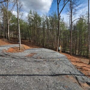 A road that has some trees on it