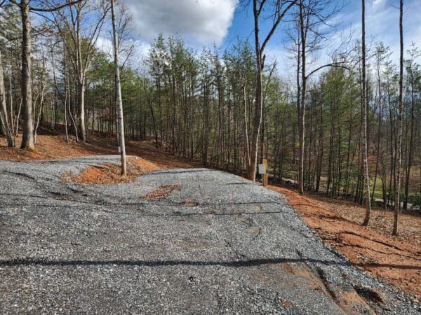 A road that has some trees on it