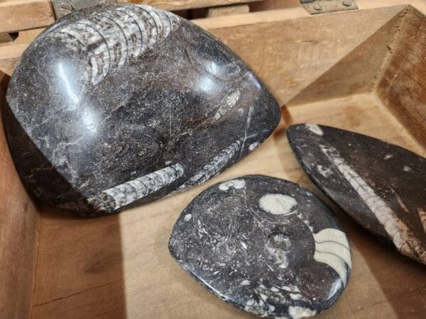 A group of three pieces of stone on top of a table.