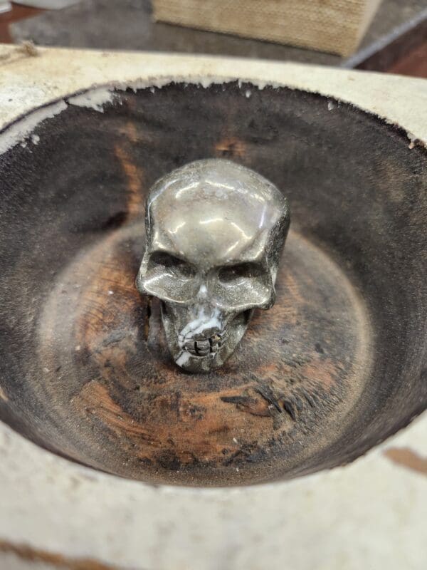 A skull is sitting in the center of an empty bowl.