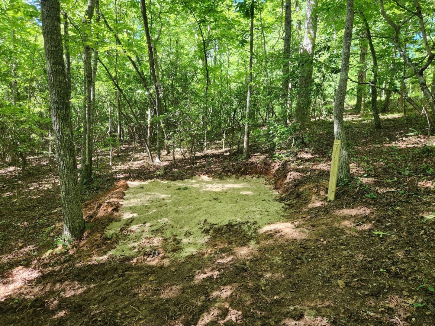 Campsite in a wooded area.