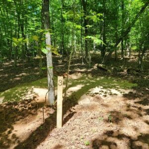 Number three trail marker in the woods.