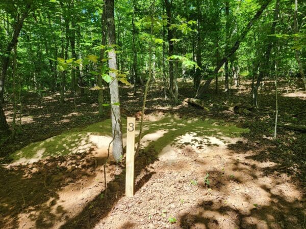 Number three trail marker in the woods.