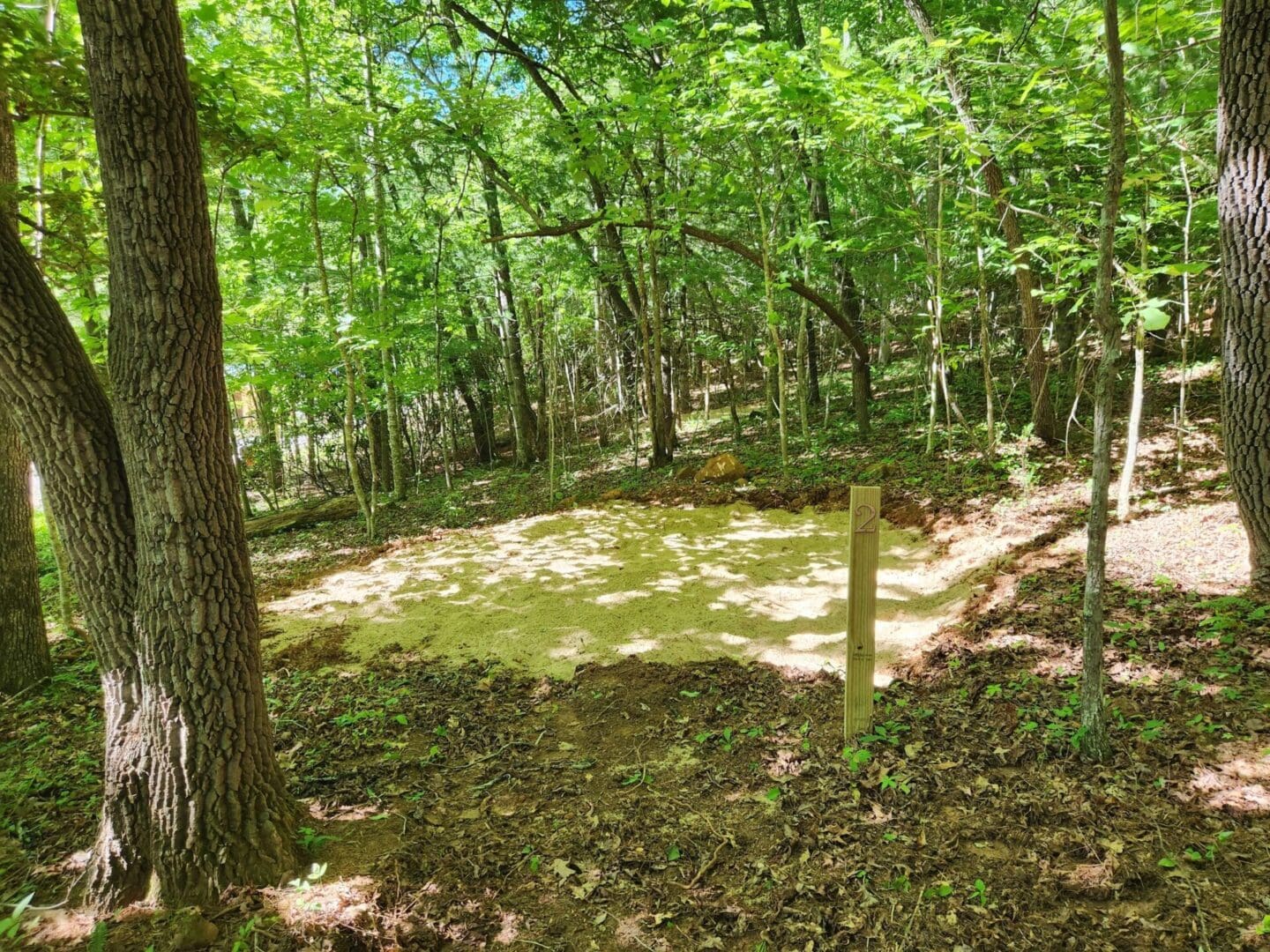 Campsite number two in the woods.