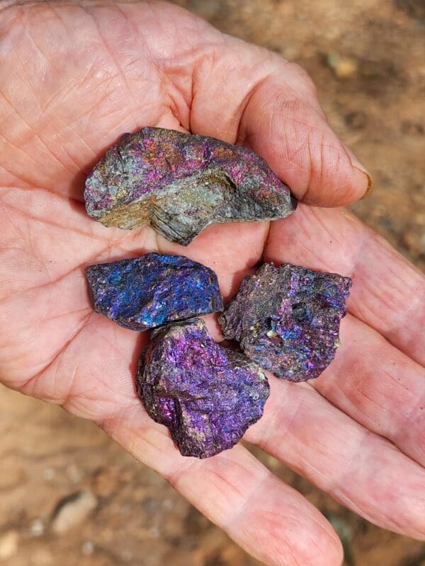 Hand holding iridescent purple and grey rocks.